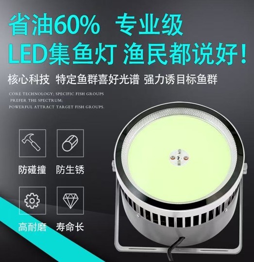 珠海集鱼灯